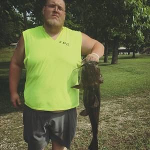 Meet your Posher, Holden